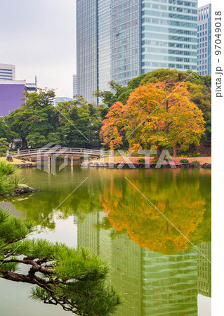 秋の東京 紅葉の浜離宮恩賜庭園 秋の東京 紅葉の浜離宮恩賜庭園 97049018