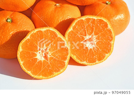 みかん（真穴みかん） 97049055