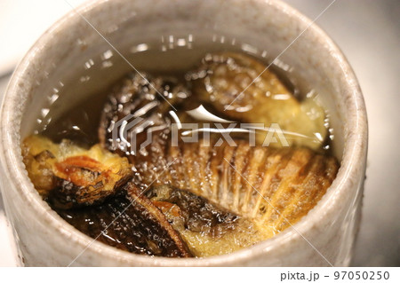 温泉宿の食事、懐石料理 温泉宿の食事、懐石料理 97050250