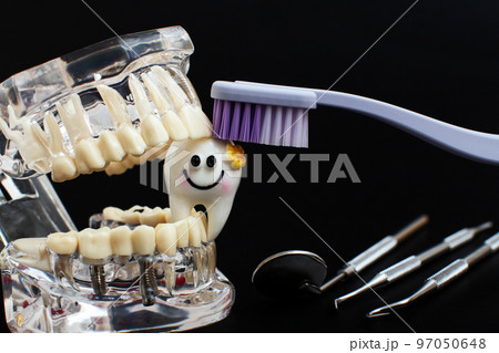 Dentist dental prosthetic teeth, gums, roots close-up. Studying dental diseases concept Dentist dental prosthetic teeth, gums, roots close-up. Studying dental diseases concept 97050648