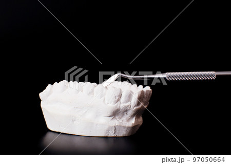 Dentist dental prosthetic teeth, gums, roots close-up. Studying dental diseases concept Dentist dental prosthetic teeth, gums, roots close-up. Studying dental diseases concept 97050664