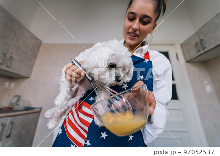Woman is holding maltese dog while whisking an egg 97052537