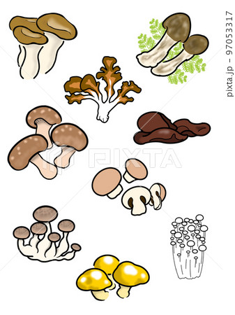 きのこセット 97053317