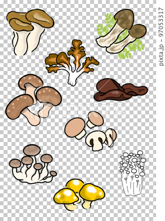 きのこセット 97053317