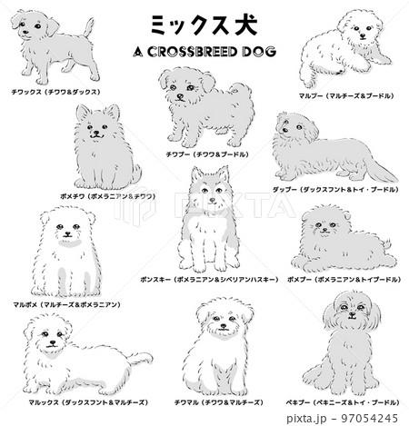 犬のイラスト 白 キャップ dog-cap-illustration_310217-
