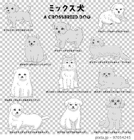 かわいい人気のミックス犬 手描き線画ベクターイラストセット
