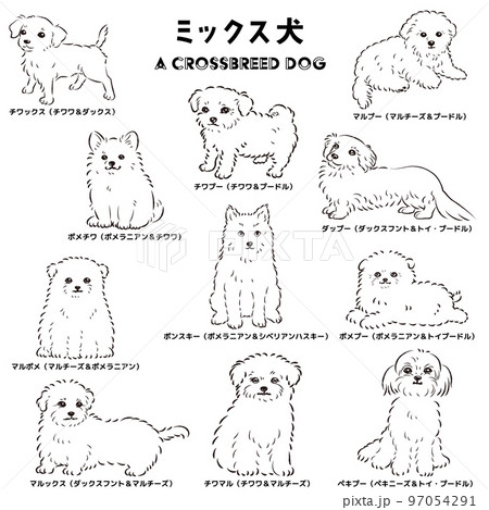 かわいい人気のミックス犬　手描き線画ベクターイラストセット（白黒） 97054291