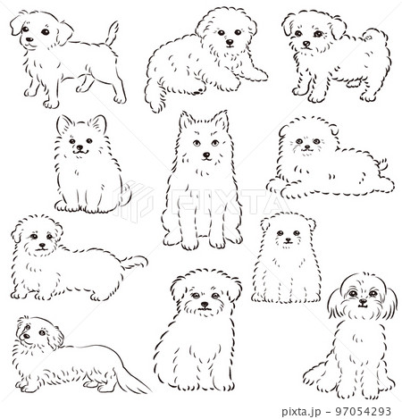 犬の線画 手描き かわいい人気のミックス犬 手描き線画ベクターイラストセット