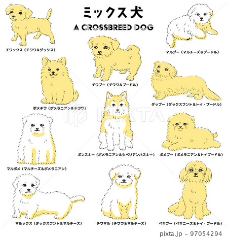 かわいい人気のミックス犬 手描き線画ベクターイラストセットの