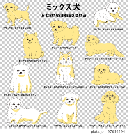 かわいい人気のミックス犬 手描き線画ベクターイラストセット かわいい人気のミックス犬 手描き線画ベクターイラストセット 97054294