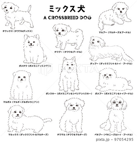 犬の線画 手描き かわいい人気のミックス犬 手描き線画ベクターイラストセット