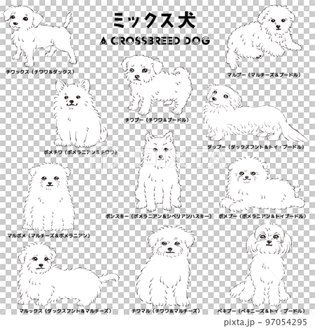 かわいい人気のミックス犬 手描き線画ベクターイラストセット(白黒) かわいい人気のミックス犬 手描き線画ベクターイラストセット(白黒) 97054295