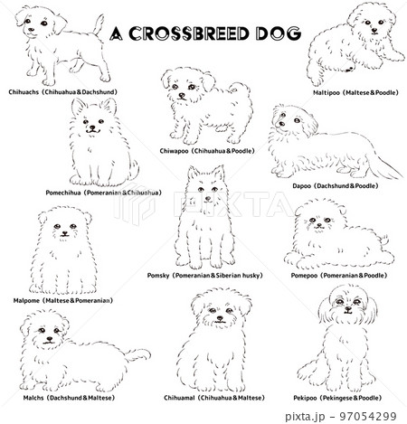 かわいい人気のミックス犬　手描き線画ベクターイラストセット（白黒） 97054299