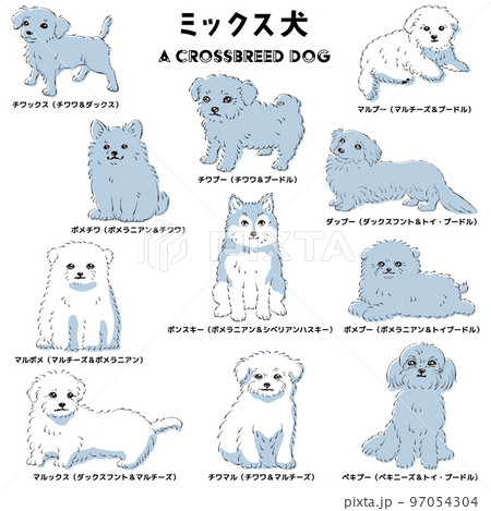 かわいい人気のミックス犬　手描き線画ベクターイラストセット 97054304