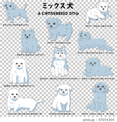 かわいい人気のミックス犬　手描き線画ベクターイラストセット 97054304