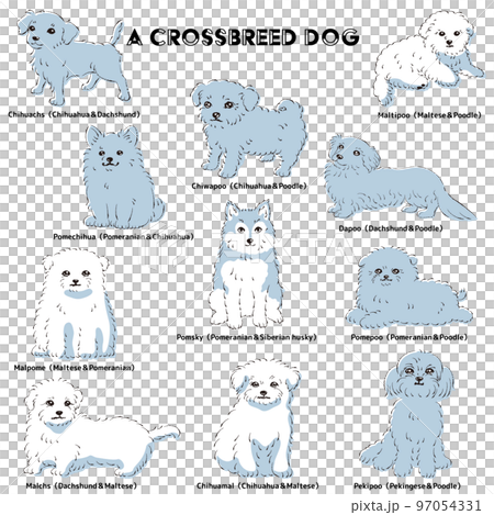 Cute popular mixed dog hand-drawn line drawing vector illustration set 97054331