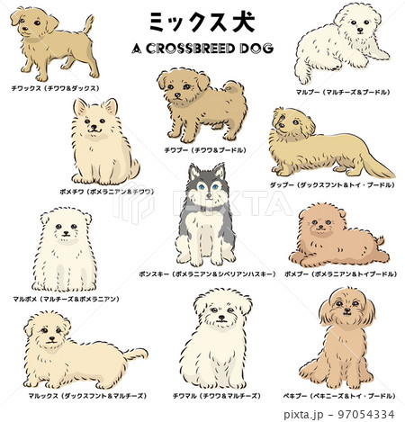 かわいい人気のミックス犬　手描き線画ベクターイラストセット 97054334