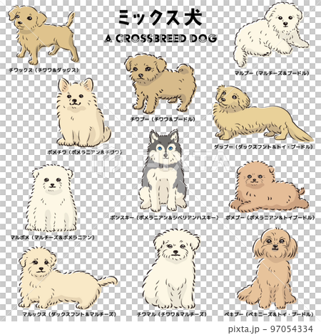 可愛流行的混合狗手繪線描矢量插圖集 97054334