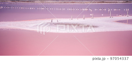 Pink salt crystals. Natural pink salt lake texture. Salt mining. Extremely salty pink lake, colored by microalgae with crystalline salt depositions Pink salt crystals. Natural pink salt lake texture. Salt mining. Extremely salty pink lake, colored by microalgae with crystalline salt depositions 97054337