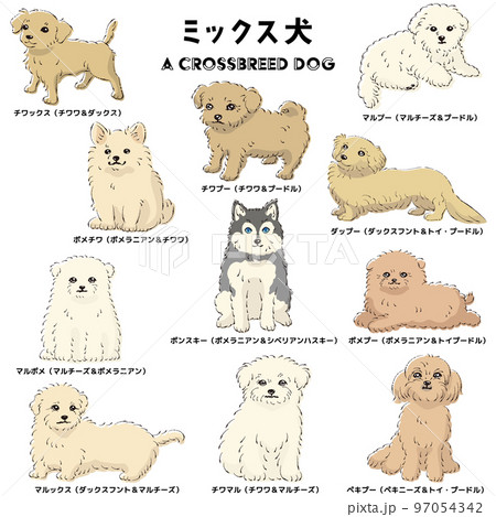 かわいい人気のミックス犬　手描き線画ベクターイラストセット 97054342