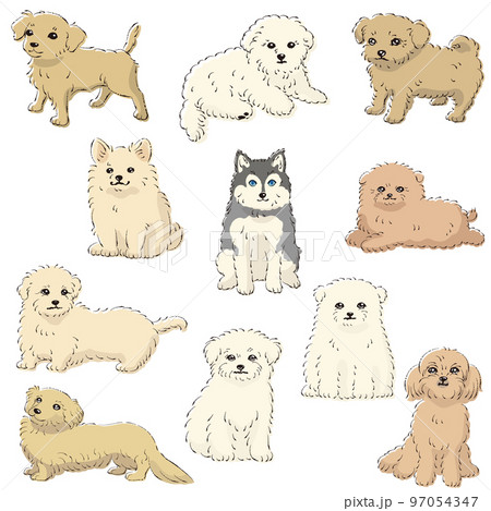 かわいい人気のミックス犬　手描き線画ベクターイラストセット 97054347