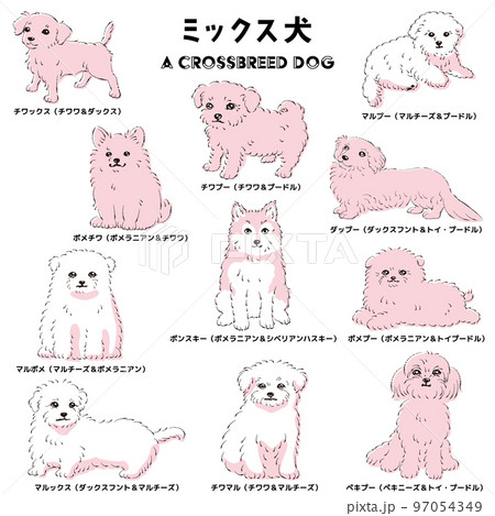 かわいい人気のミックス犬 手描き線画ベクターイラストセットの