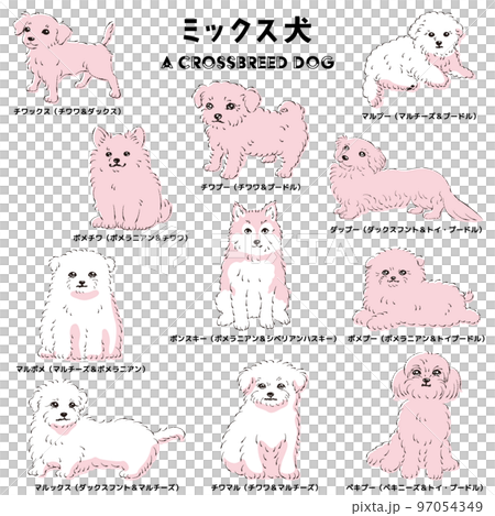 Cute popular mixed dog hand-drawn line drawing vector illustration set 97054349