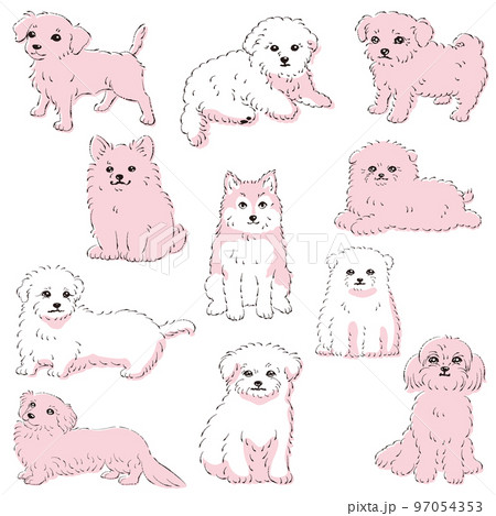 かわいい人気のミックス犬 手描き線画ベクターイラストセット かわいい人気のミックス犬 手描き線画ベクターイラストセット 97054353