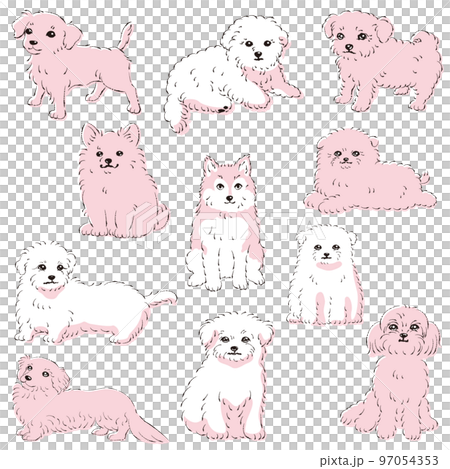 かわいい人気のミックス犬 手描き線画ベクターイラストセット かわいい人気のミックス犬 手描き線画ベクターイラストセット 97054353