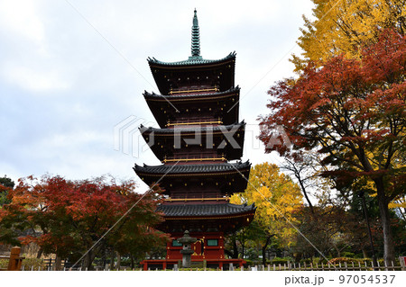 紅葉と五重塔 紅葉と五重塔 97054537