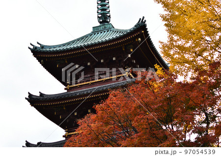 紅葉と五重塔 紅葉と五重塔 97054539