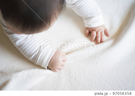 赤ちゃんの手 赤ちゃんの手 97056358