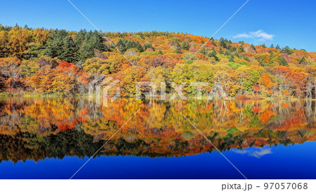 紅葉の小鳥ヶ池 97057068