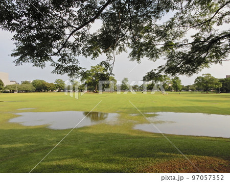 雨上がりの公園 97057352