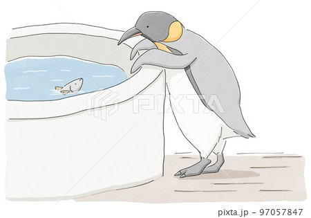 生け簀をのぞき込むゆるいペンギンのイラストのイラスト素材