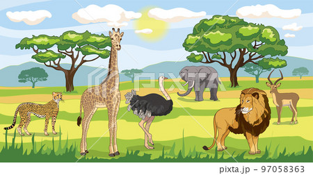 Savanna landscape with lion, giraffe, ostrich, gazelle, cheetah and elephant. Savanna landscape with lion, giraffe, ostrich, gazelle, cheetah and elephant. 97058363