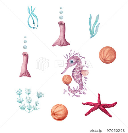Watercolor illustration of a set of marine fauna isolated on white background. Angelfish, starfish, shells, corals, seahorse, seaweed, plants, water, sea, ocean. Print design poster fabric decoration Watercolor illustration of a set of marine fauna isolated on white background. Angelfish, starfish, shells, corals, seahorse, seaweed, plants, water, sea, ocean. Print design poster fabric decoration 97060298