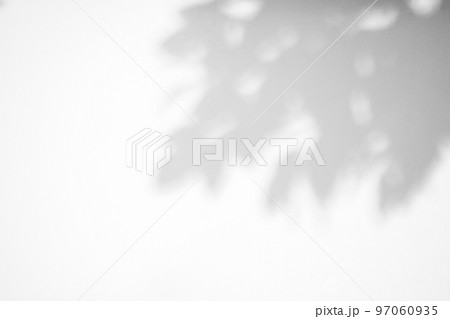 Abstract natural tree leaves shadow on white wall background Abstract natural tree leaves shadow on white wall background 97060935