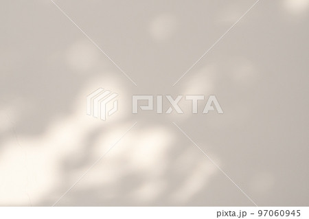 Abstract natural tree leaves shadow on white wall background 97060945