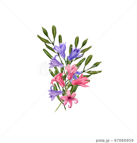 Hyacinth isolated on a white background. Watercolor illustration. For Valentine day, wedding invitation, birthday and mother day cards, poster, textile design, cover, background, prints, pattern. 97060959