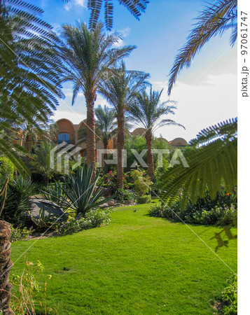 Landscape in front of the hotel in Egypt 97061747