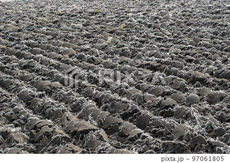 field, plowed black earth frozen by the frost 97061805