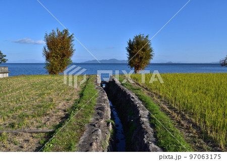 琵琶湖・大津木戸湖岸緑地 97063175