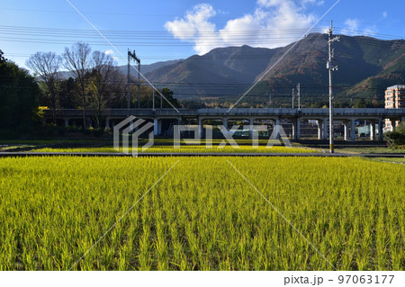 琵琶湖・大津木戸湖岸緑地付近の田園風景と比良山系 97063177
