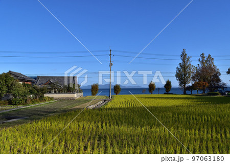 琵琶湖・大津木戸湖岸緑地付近の田園風景 琵琶湖・大津木戸湖岸緑地付近の田園風景 97063180