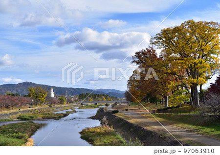 京都・秋の上賀茂橋からの賀茂川の風景 97063910