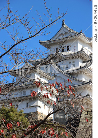 秋の姫路城 97064428