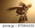 しめ縄のショット 97064430