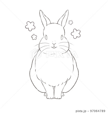 楽しむうさぎの線画 97064789