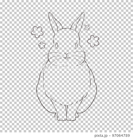 兔子線描欣賞 97064789